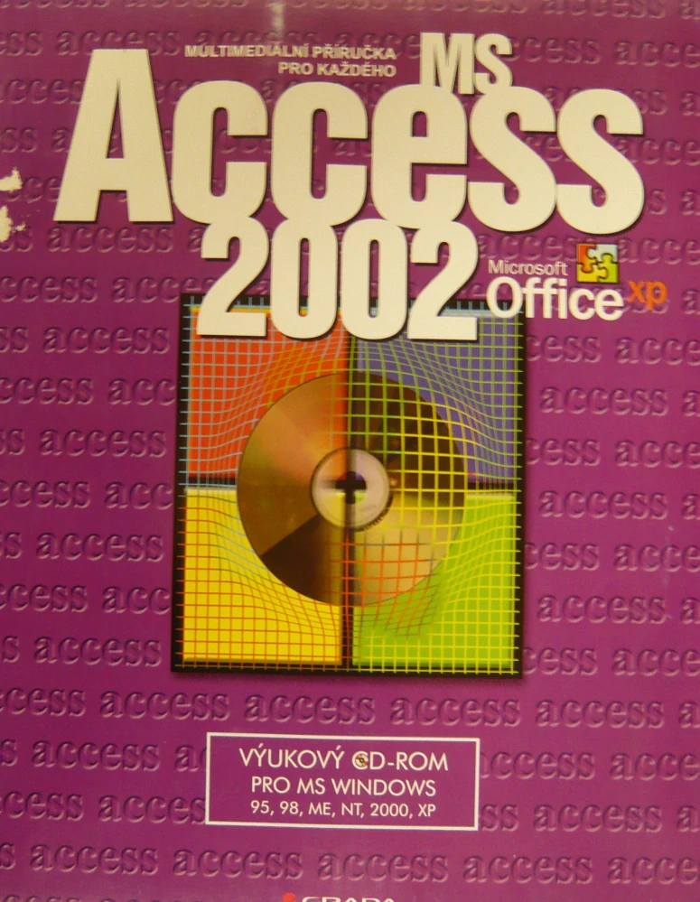 MS ACCESS 2002/CD-ROM