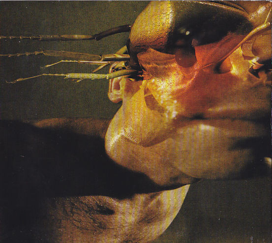 FRONT LINE ASSEMBLY: IMPLODE/CD