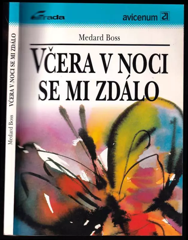 VČERA V NOCI SE MI ZDÁLO