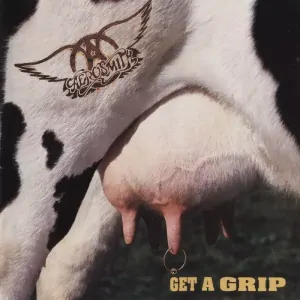 AEROSMITH: GET A GRIP/2LP