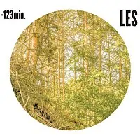 -123 MINUT: LES/LP
