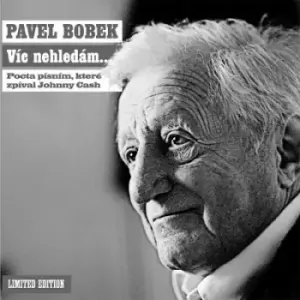 BOBEK PAVEL: VÍC NEHLEDÁM/LP