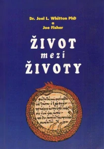 ŽIVOT MEZI ŽIVOTY