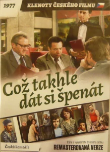 COŽ TAKHLE DÁT SI ŠPENÁT/DVD