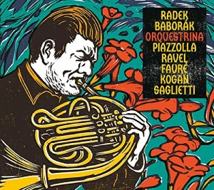 VARIOUS: ORQUESTRINA/CD(BABORÁK RADEK)