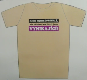 TRIČKO: NEJSEM DOKONALÝ/M/L/UNIVERZÁLNÍ