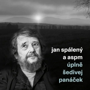 SPÁLENÝ JAN A ASPM: ÚPLNĚ ŠEDIVEJ PANÁČEK/LP
