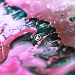 LINKIN PARK: FROM ZERO/LP