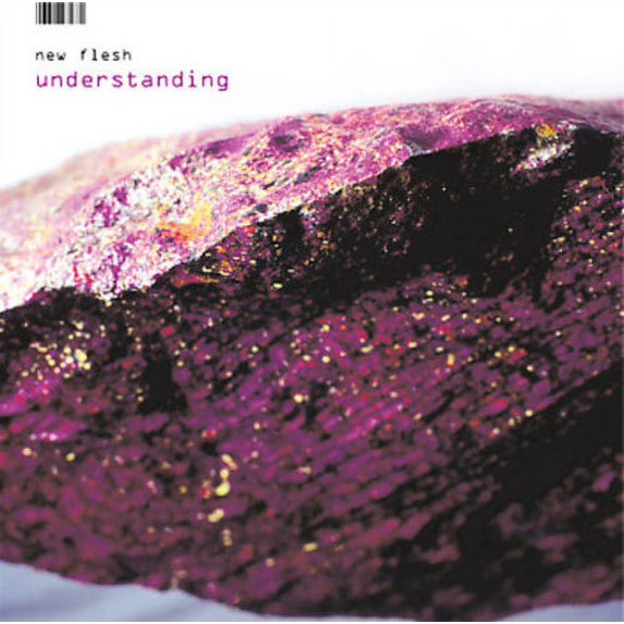 NEW FLESH: UNDERSTANDING/CD