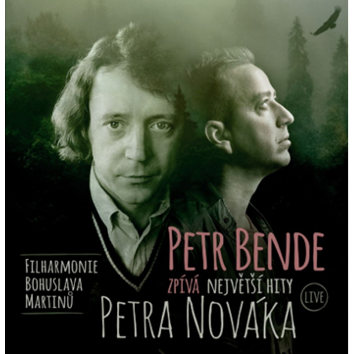BENDE PETR: PETR BENDE ZPÍVÁ NEJVĚTŠÍ HITY PETRA NOVÁKA/LP
