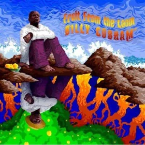 COBHAM BILLY: FRUIT FROM THE LOOM/CD