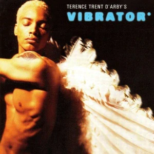 D´ARBY´S TERENCE TRENT: VIBRATOR/CD