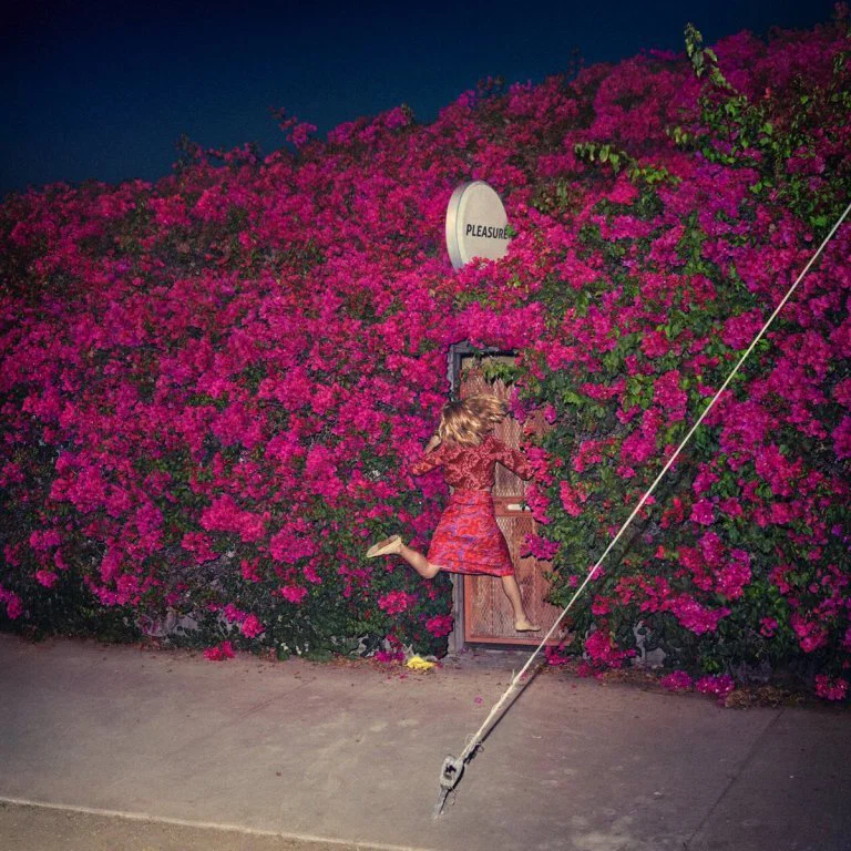 FEIST: PLEASURE/CD
