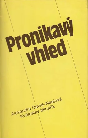 PRONIKAVÝ VHLED