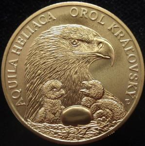 5 EURO (2025) Orel královský (Běžná kvalita)