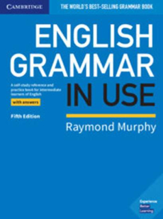 English Grammar in Use: Book with Answers 5E