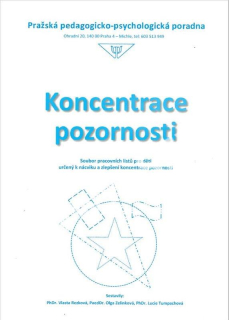 Koncentrace pozornosti