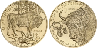 5 EURO (2024) Zubr hrívnatý (Běžná kvalita)